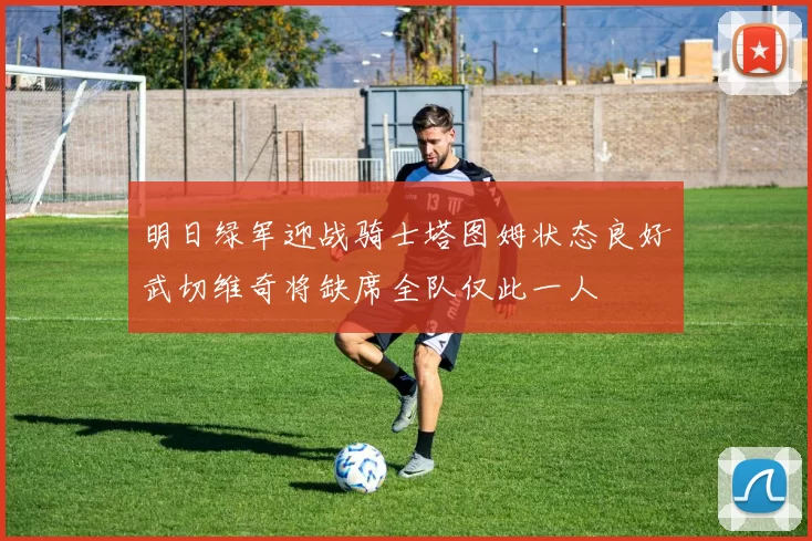 明日绿军迎战骑士塔图姆状态良好武切维奇将缺席全队仅此一人