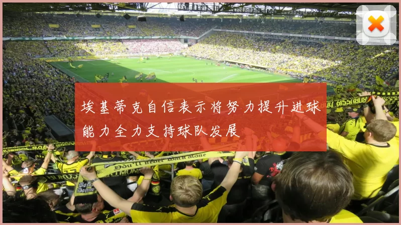 埃基蒂克自信表示将努力提升进球能力全力支持球队发展