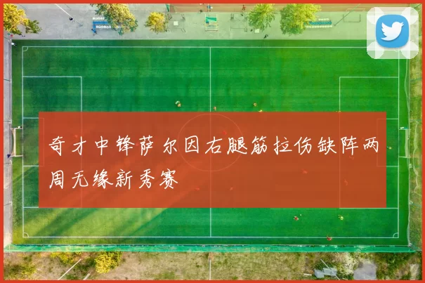 奇才中锋萨尔因右腿筋拉伤缺阵两周无缘新秀赛